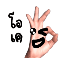 15233005