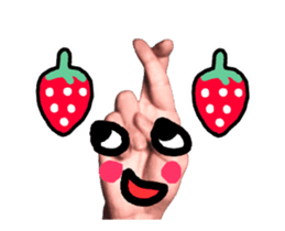 15233013