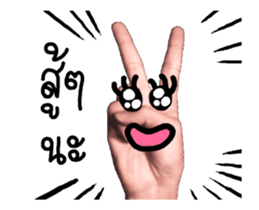 15233027