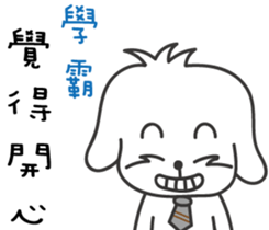152365313