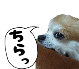 15237651