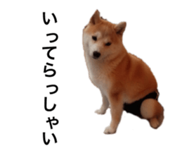 152427137