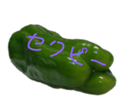 152429032