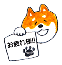 152433641