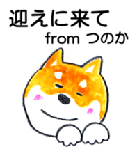 152433643