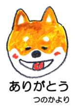 152433647