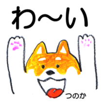 152433648