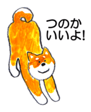 152433651