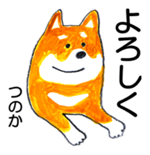 152433652