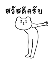 15243892
