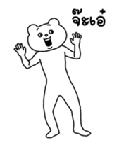 15243898