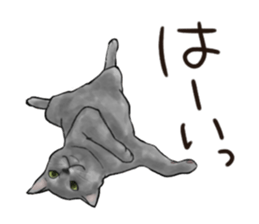 152563014