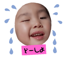 152632737