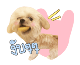 152632816