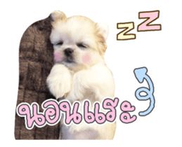 152632818