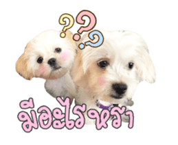 152632823