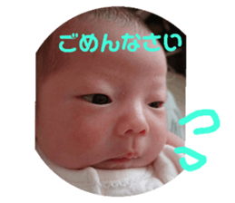 152666141