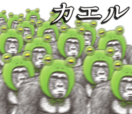 152839445