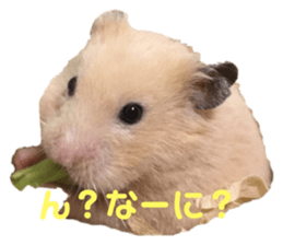 152849498