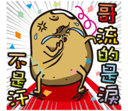 15290255