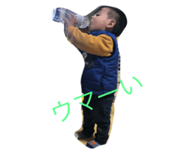 152950023
