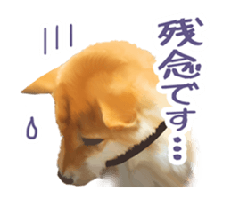 153002669