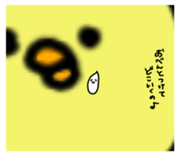 153008403