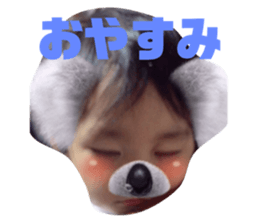 153026228