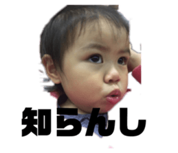 153026232