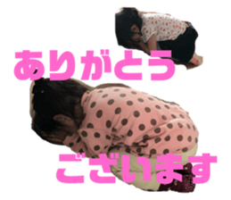 153026244