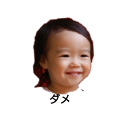 153032456