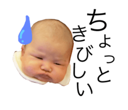 153035391