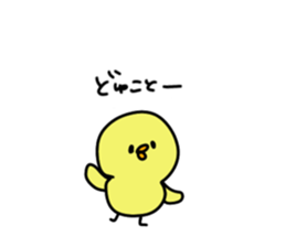153035708