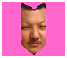 153040567
