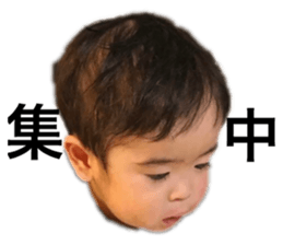 153043535