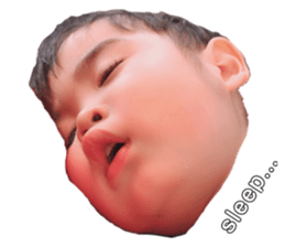 153043541