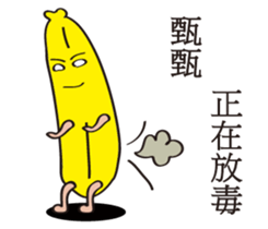 153049504
