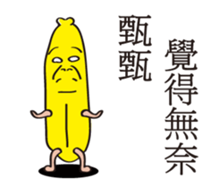 153049507