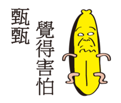 153049511