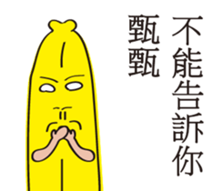 153049517