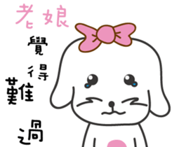 153071455