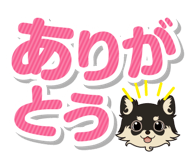 153090050