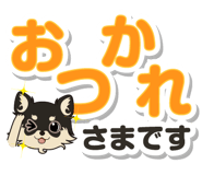 153090056