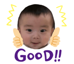 153111359
