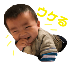 153111367