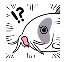 153114348
