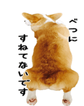 15328835