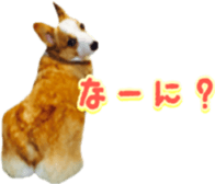 15328846