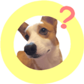 15328850