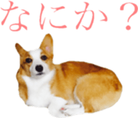 15328852